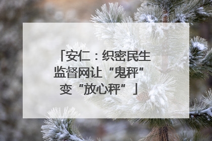 安仁：织密民生监督网让“鬼秤”变“放心秤”