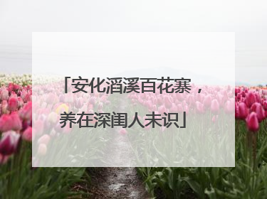 安化滔溪百花寨，养在深闺人未识