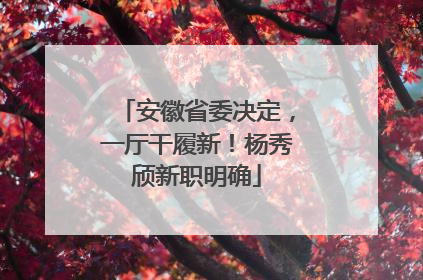 安徽省委决定，一厅干履新！杨秀颀新职明确