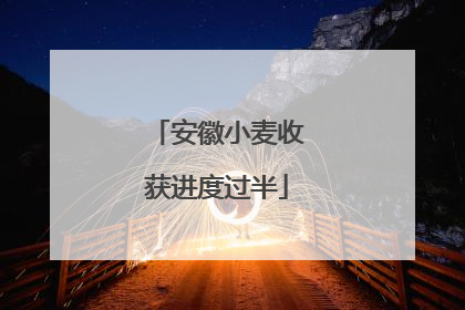 安徽小麦收获进度过半
