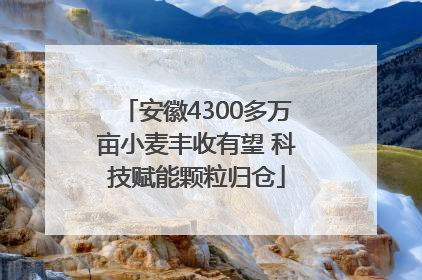 安徽4300多万亩小麦丰收有望 科技赋能颗粒归仓