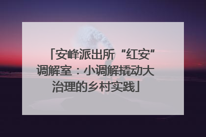 安峰派出所“红安”调解室：小调解撬动大治理的乡村实践