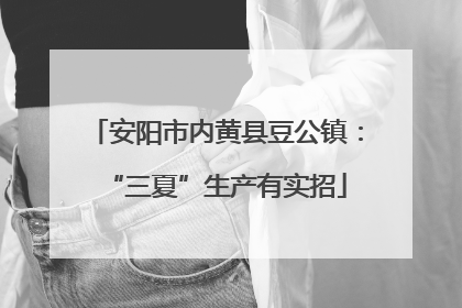 安阳市内黄县豆公镇：“三夏”生产有实招