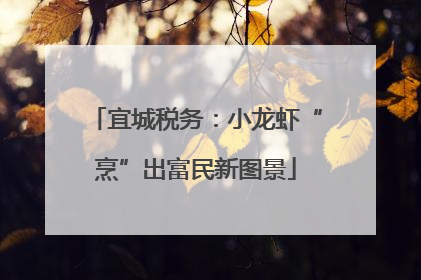 宜城税务：小龙虾“烹”出富民新图景