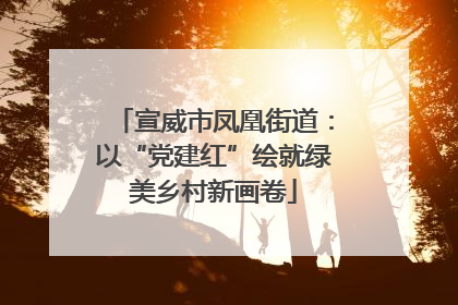 宣威市凤凰街道：以“党建红”绘就绿美乡村新画卷