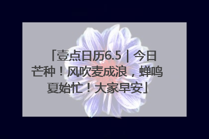 壹点日历6.5｜今日芒种！风吹麦成浪，蝉鸣夏始忙！大家早安