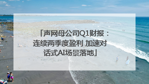 声网母公司Q1财报：连续两季度盈利 加速对话式AI场景落地