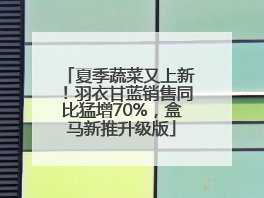 夏季蔬菜又上新！羽衣甘蓝销售同比猛增70%，盒马新推升级版