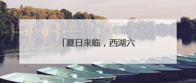 夏日来临，西湖六月黄上市了吗？