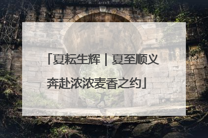 夏耘生辉｜夏至顺义奔赴浓浓麦香之约