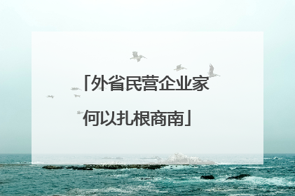 外省民营企业家何以扎根商南