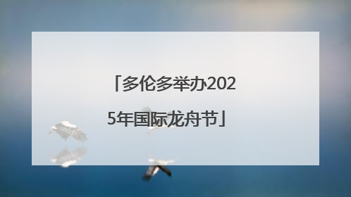 多伦多举办2025年国际龙舟节