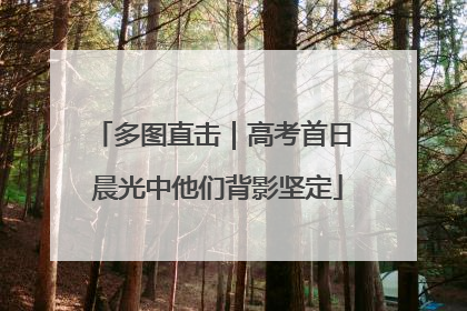 多图直击｜高考首日 晨光中他们背影坚定