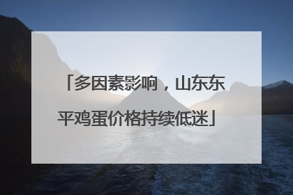 多因素影响，山东东平鸡蛋价格持续低迷
