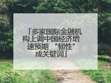 多家国际金融机构上调中国经济增速预期 “韧性”成关键词