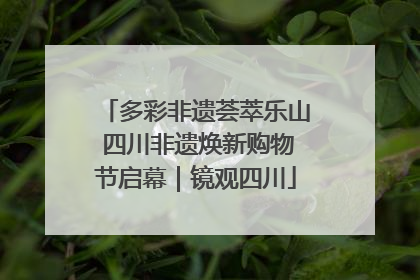 多彩非遗荟萃乐山 四川非遗焕新购物节启幕｜镜观四川