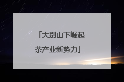 大别山下崛起茶产业新势力