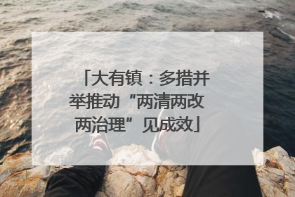 大有镇：多措并举推动“两清两改两治理”见成效