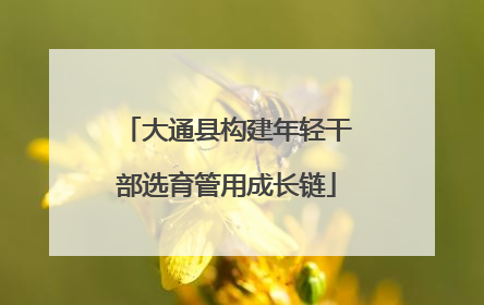大通县构建年轻干部选育管用成长链