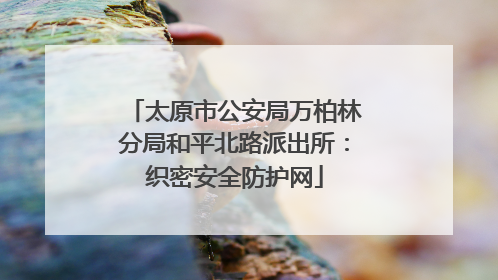 太原市公安局万柏林分局和平北路派出所：织密安全防护网