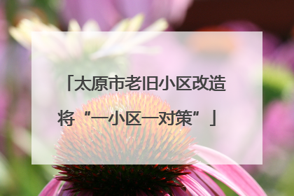 太原市老旧小区改造将“一小区一对策”