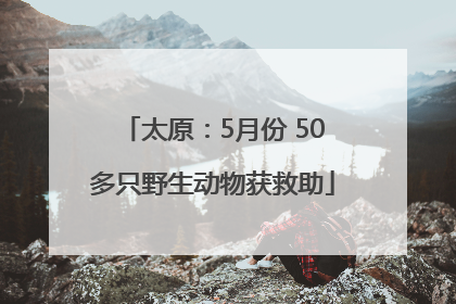 太原：5月份 50多只野生动物获救助