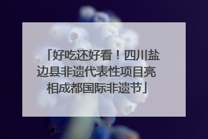 好吃还好看！四川盐边县非遗代表性项目亮相成都国际非遗节