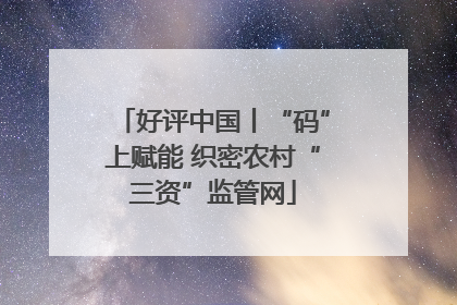 好评中国丨“码”上赋能 织密农村“三资”监管网