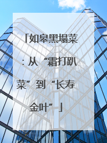 如皋黑塌菜：从“霜打趴菜”到“长寿金叶”