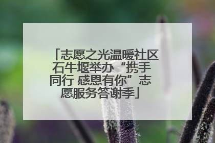 志愿之光温暖社区 石牛堰举办“携手同行 感恩有你”志愿服务答谢季