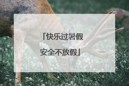 快乐过暑假 安全不放假