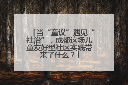 当“童议”遇见“社治”，成都这场儿童友好型社区实践带来了什么？