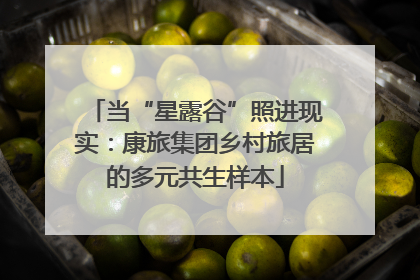 当“星露谷”照进现实：康旅集团乡村旅居的多元共生样本