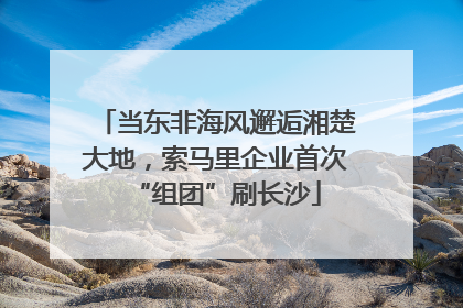 当东非海风邂逅湘楚大地，索马里企业首次“组团”刷长沙