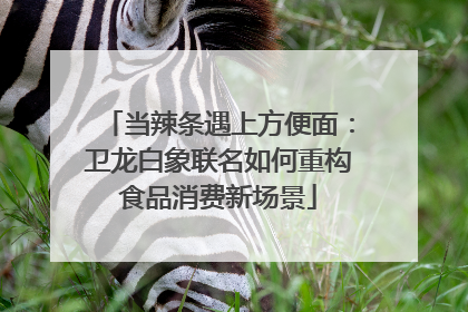 当辣条遇上方便面：卫龙白象联名如何重构食品消费新场景