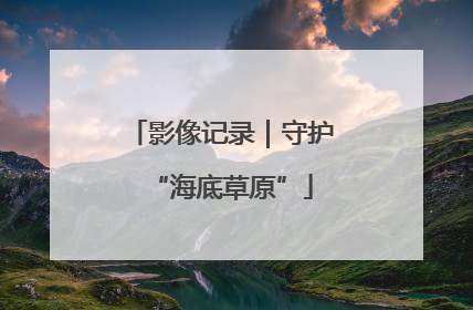 影像记录｜守护“海底草原”
