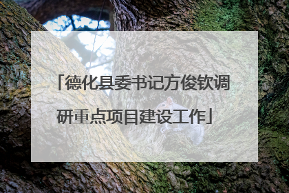 德化县委书记方俊钦调研重点项目建设工作