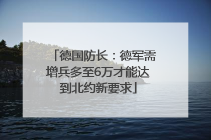 德国防长：德军需增兵多至6万才能达到北约新要求