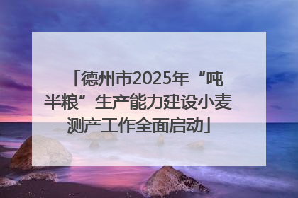 德州市2025年“吨半粮”生产能力建设小麦测产工作全面启动
