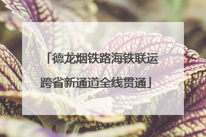 德龙烟铁路海铁联运跨省新通道全线贯通