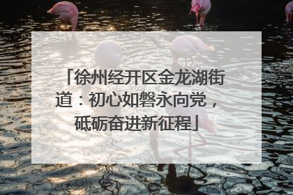徐州经开区金龙湖街道：初心如磐永向党，砥砺奋进新征程