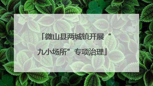微山县两城镇开展“九小场所”专项治理