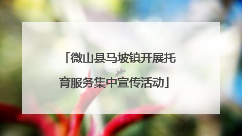 微山县马坡镇开展托育服务集中宣传活动