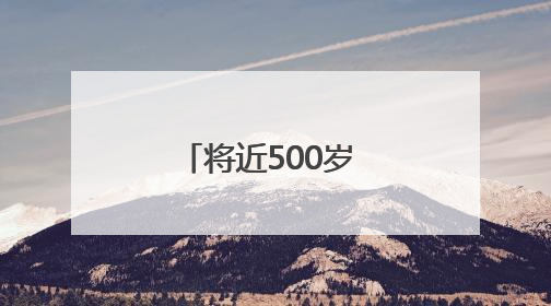 将近500岁 在民宅当了三十余年的洗衣板竟是明代御制箴碑