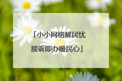 小小网格解民忧 接诉即办暖民心