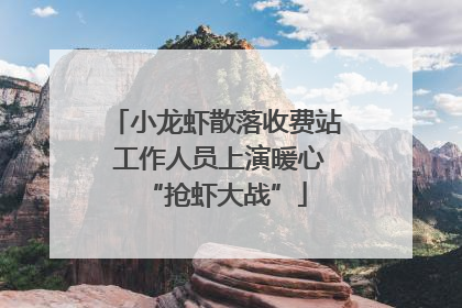 小龙虾散落收费站 工作人员上演暖心“抢虾大战”