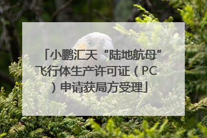 小鹏汇天“陆地航母”飞行体生产许可证（PC）申请获局方受理