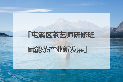 屯溪区茶艺师研修班赋能茶产业新发展
