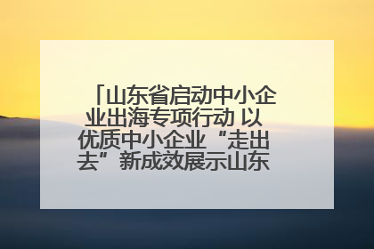 山东省启动中小企业出海专项行动 以优质中小企业“走出去”新成效展示山东产业发展新形象