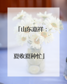 山东嘉祥：夏收夏种忙